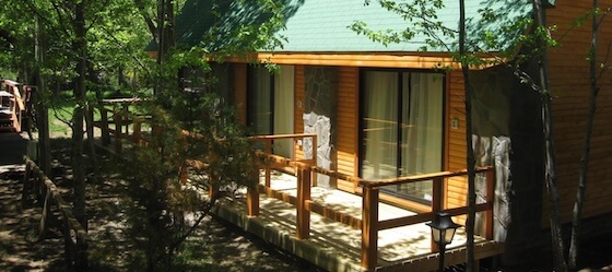 Cabañas Bordenieve, Termas de Chillán